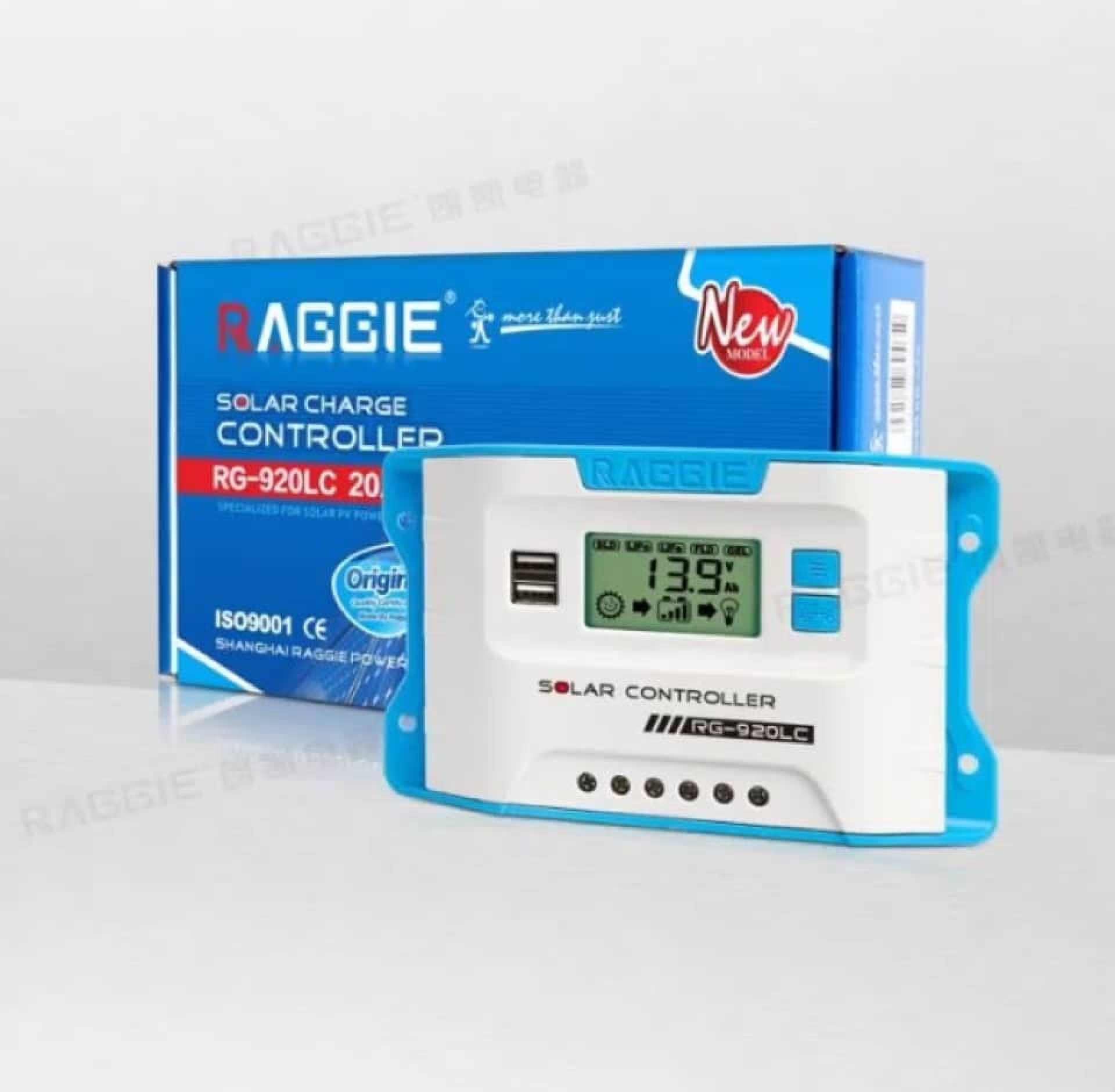 RAGGIE SOLAR CHARGE CONTROLLER