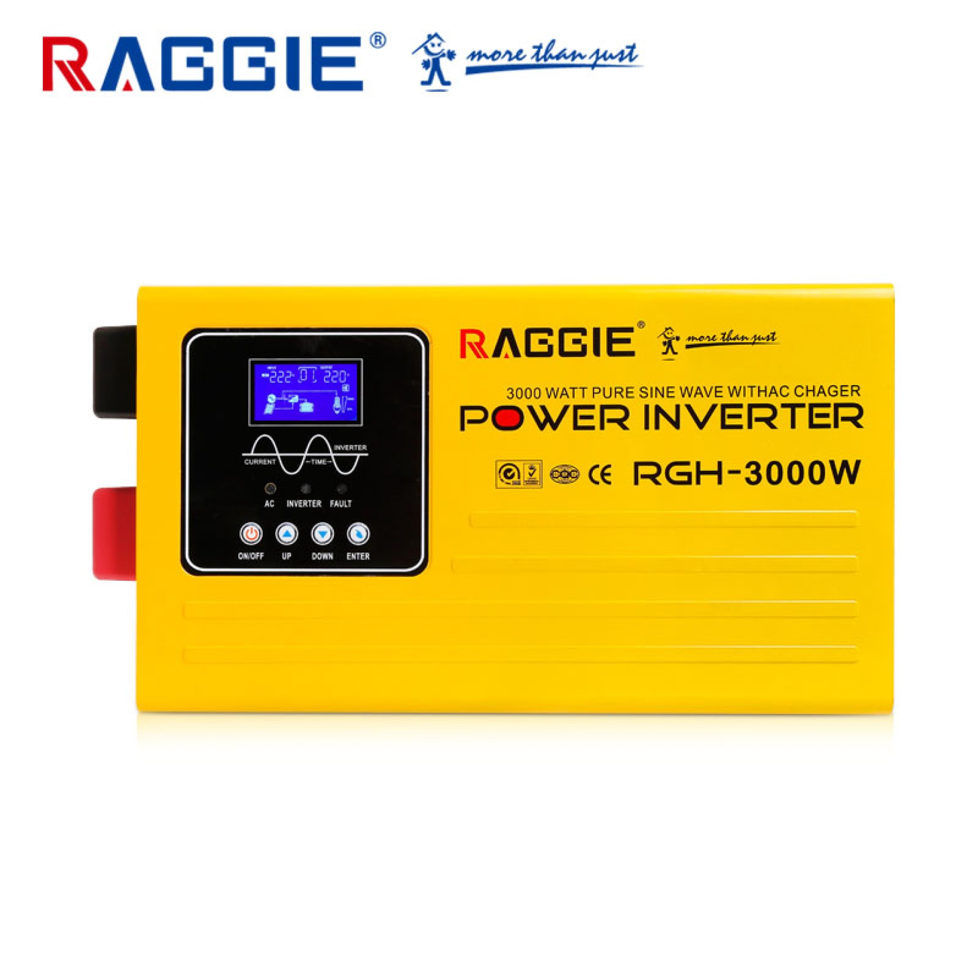 RAGGIE INVERTER